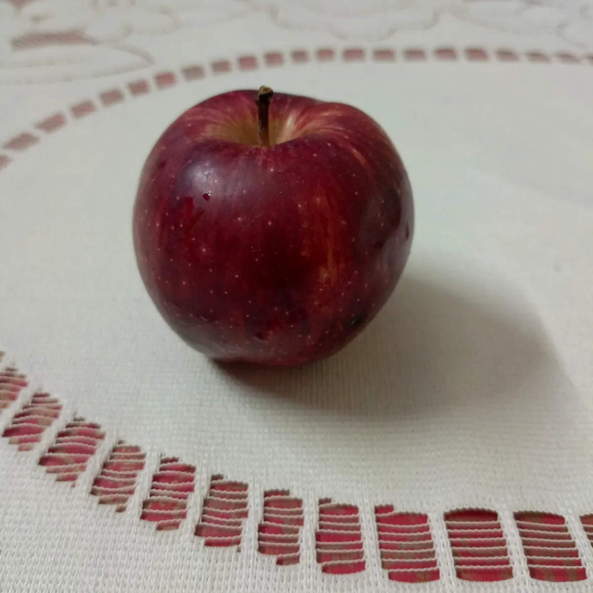 teacher